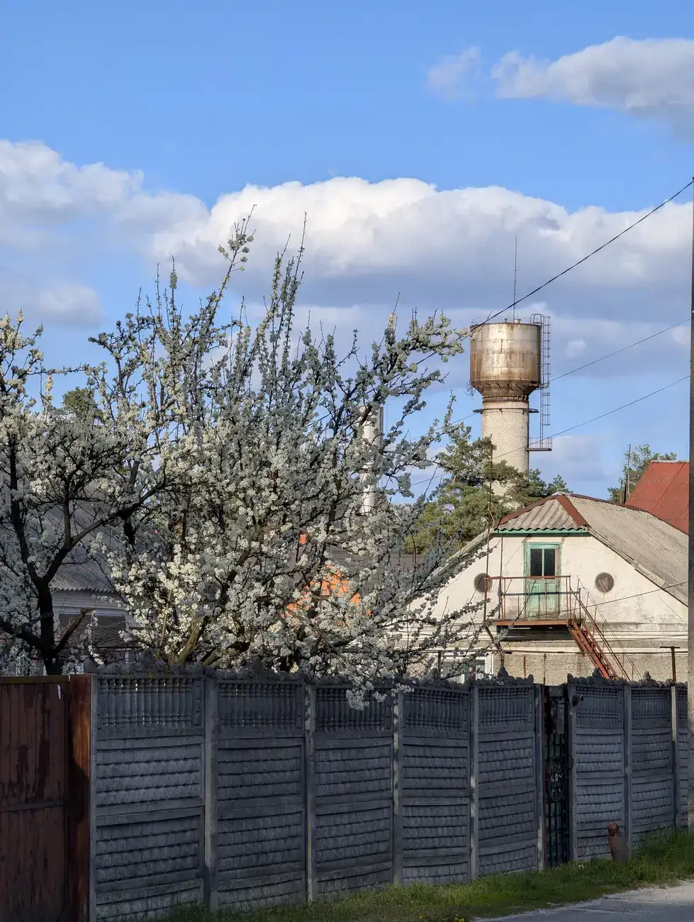 Проліски — Весна